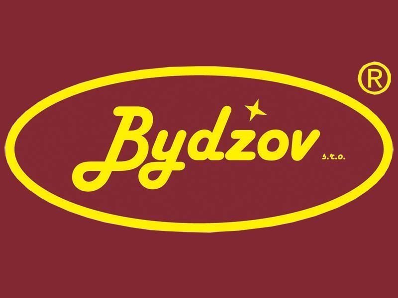 bydzov leuchten logo